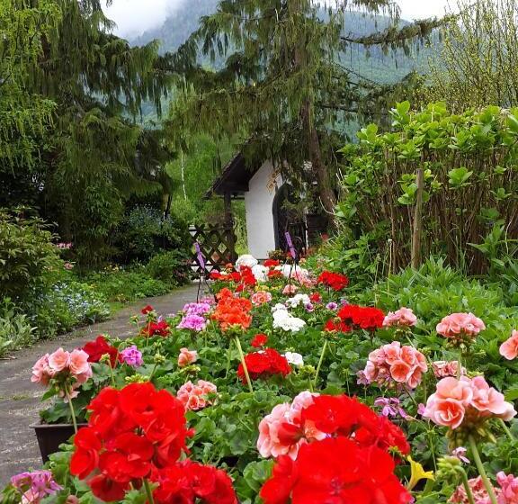 تختخواب و صبحانه Haus Am Moos