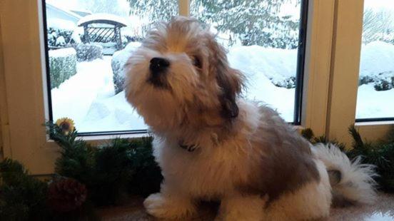 تختخواب و صبحانه Haus Am Moos