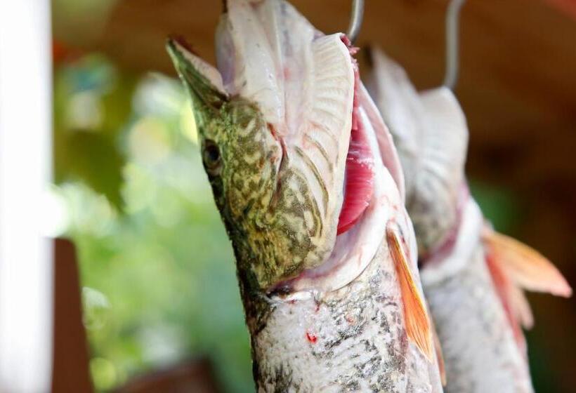 Gasthaus Hotel Höhenwirt