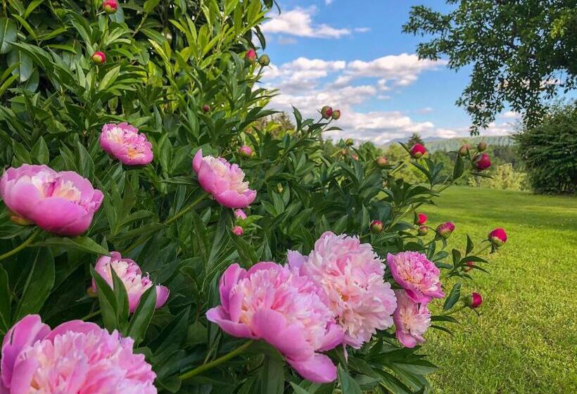 Gasthaus Hotel Höhenwirt
