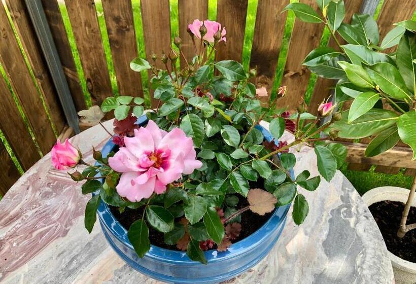 Gasthaus Hotel Höhenwirt