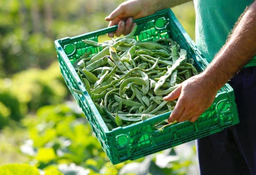 Gasthaus Hotel Höhenwirt
