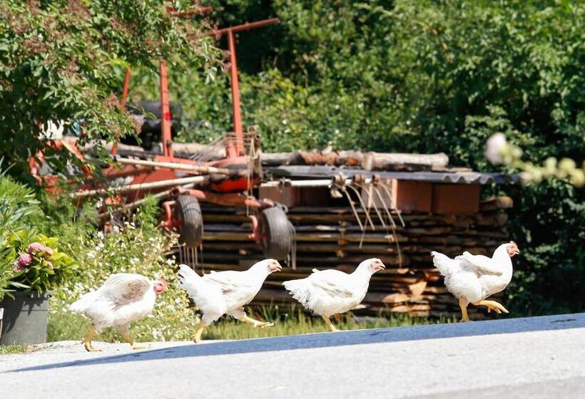 Gasthaus Hotel Höhenwirt
