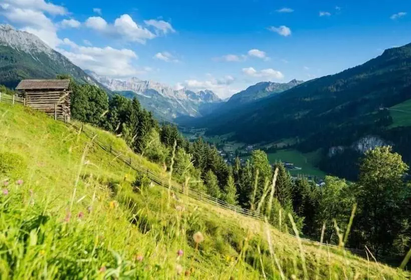 Hotelli Alpina