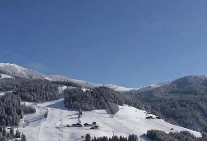 Hotelli Alpina