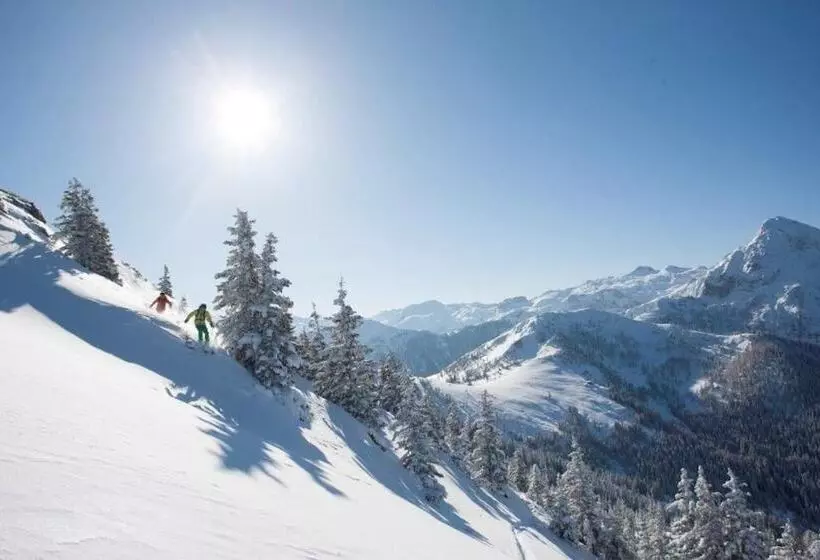 Hotelli Alpina