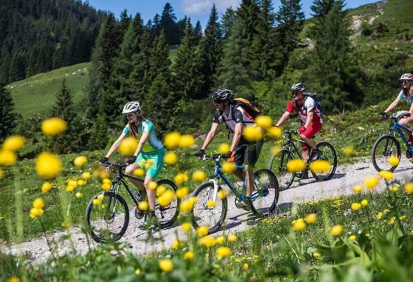 Hotelli Alpina