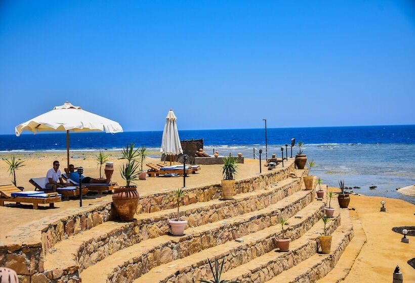 هتل Coral Garden Beach Resort