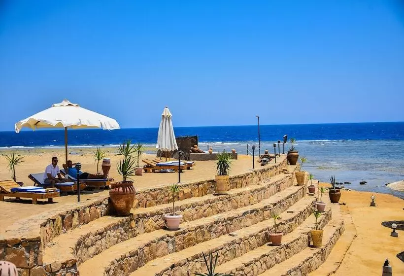 هتل Coral Garden Beach Resort