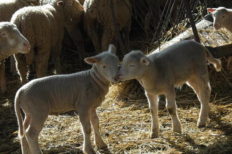 호텔 Qinta Do Vaqueirinho