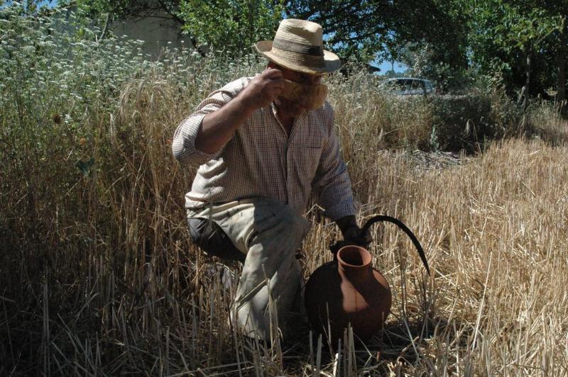 호텔 Qinta Do Vaqueirinho