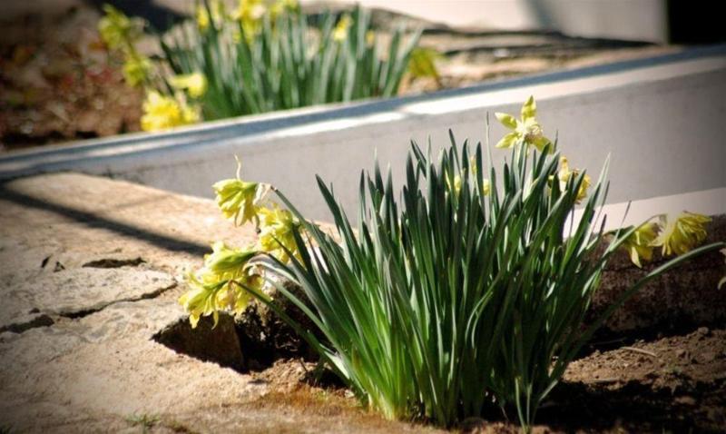 호텔 Qinta Do Vaqueirinho