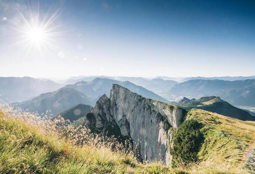 Landhotel Waldmühle