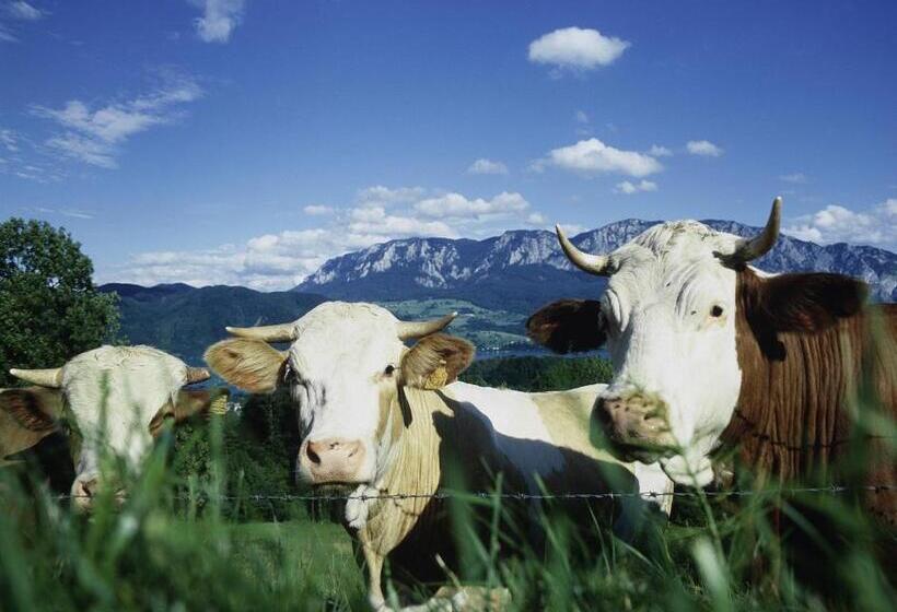 Landhotel Waldmühle