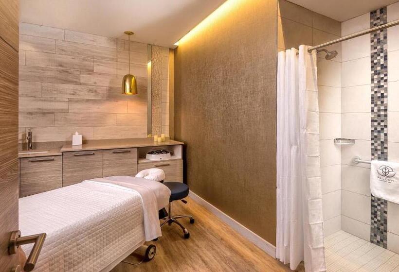 منتجع Club Wyndham Clearwater Beach