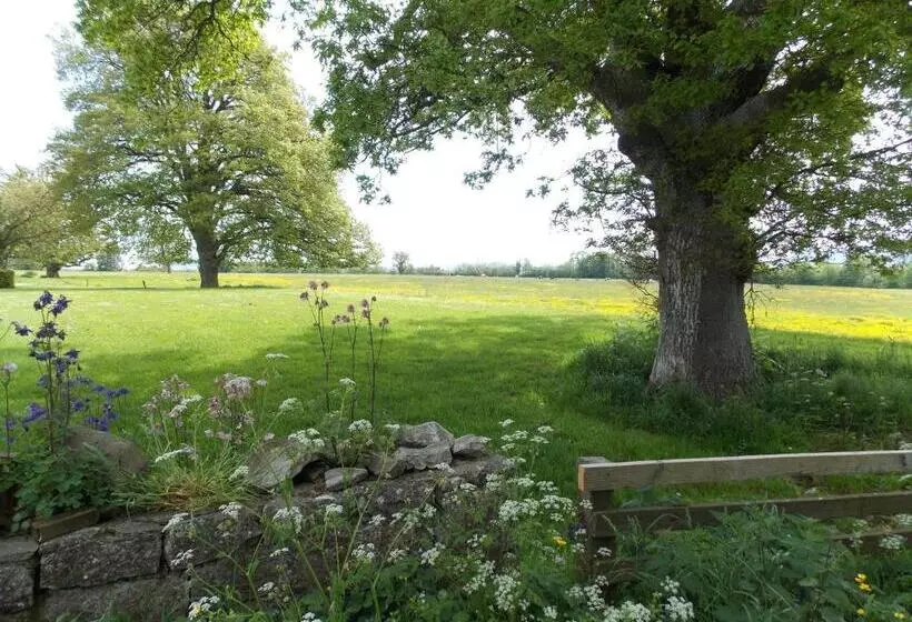 Ash Hill B & B