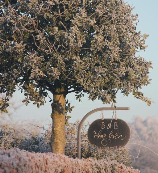 B&b 't Lang Leven