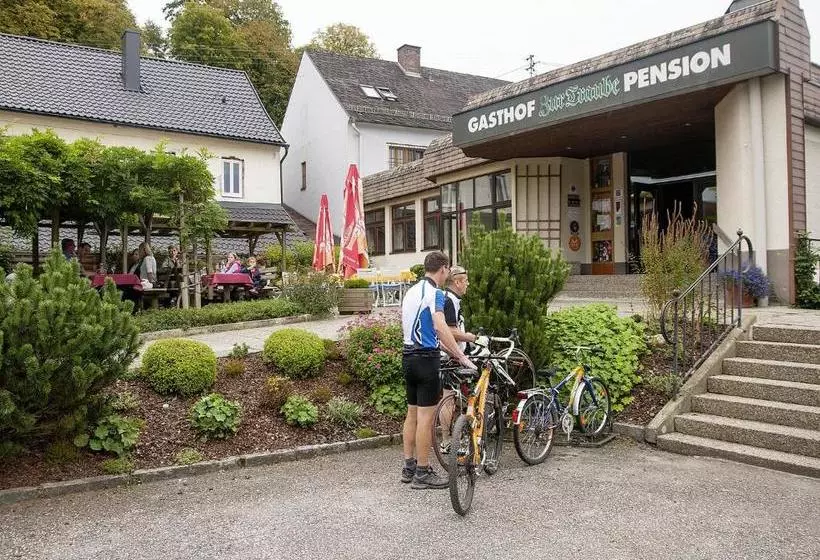 Hotelli Gasthof Zur Traube