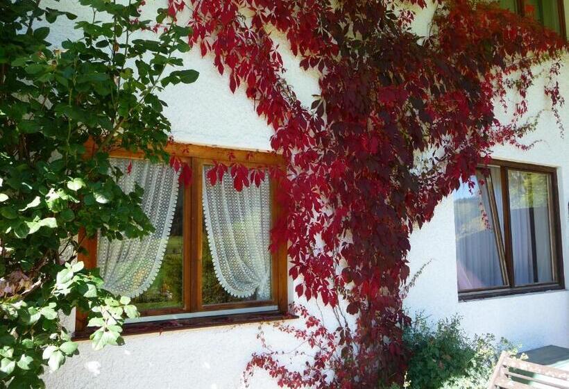 هتل Haus Garni Luggi Leitner