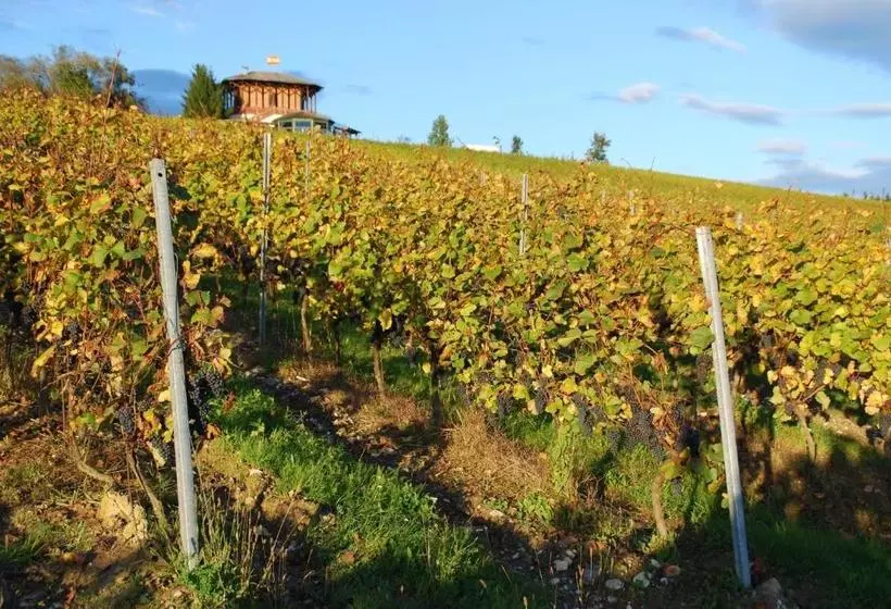Hotelli Panoramahof Ziegler
