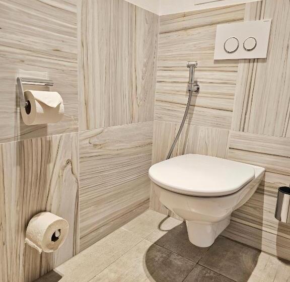 בית מלון כפרי Sonja Alpine Resort