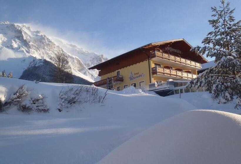 Aparthotel Pfeffermühle