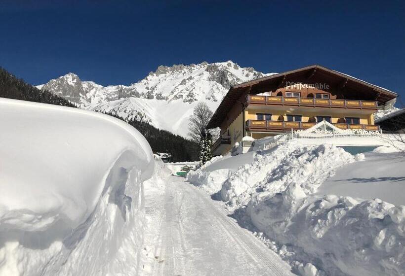 Aparthotel Pfeffermühle