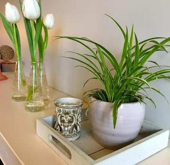B&b Tuin Der Zinnen