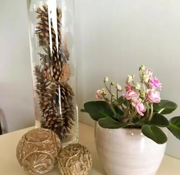 B&b Tuin Der Zinnen