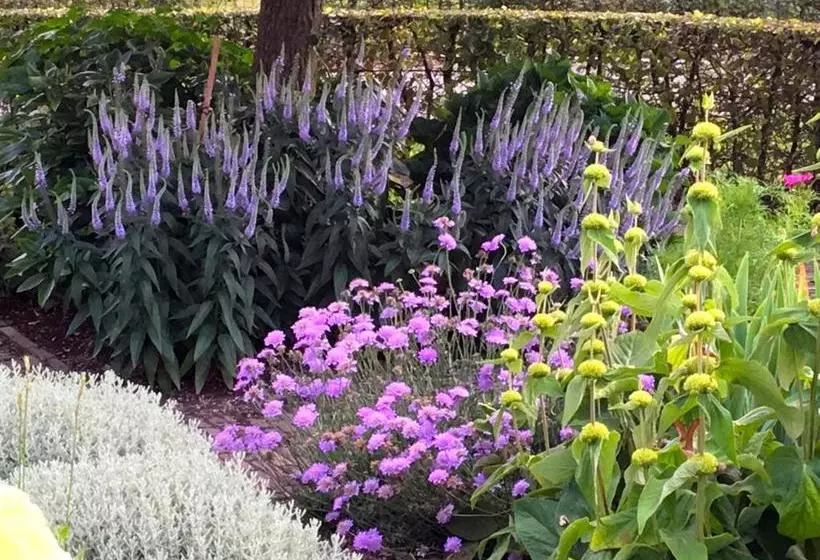 B&b Tuin Der Zinnen