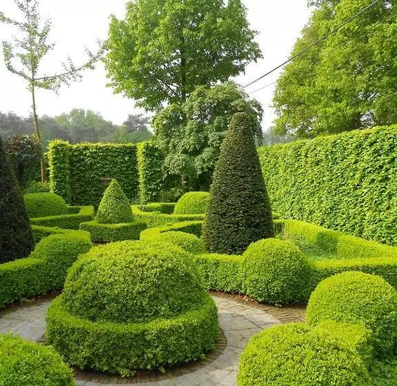 B&b Tuin Der Zinnen