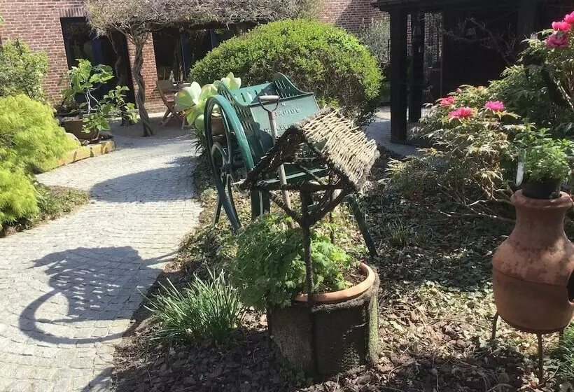 B&b Wisteria