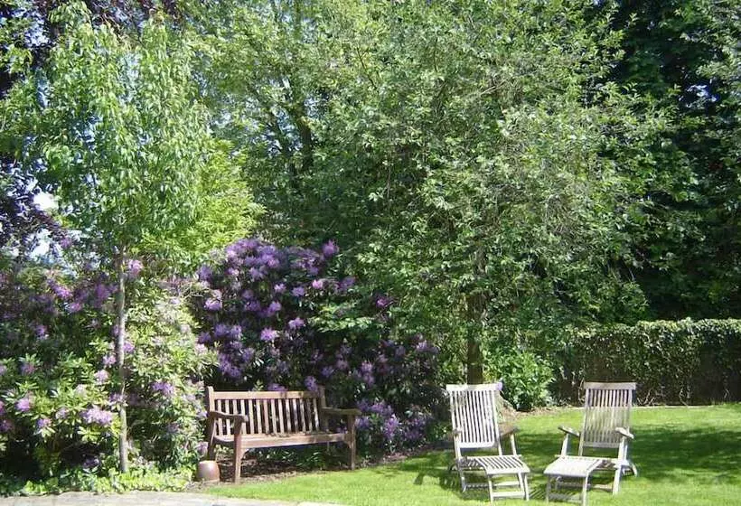 B&b Wisteria