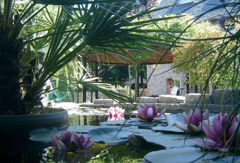 B&b Wisteria