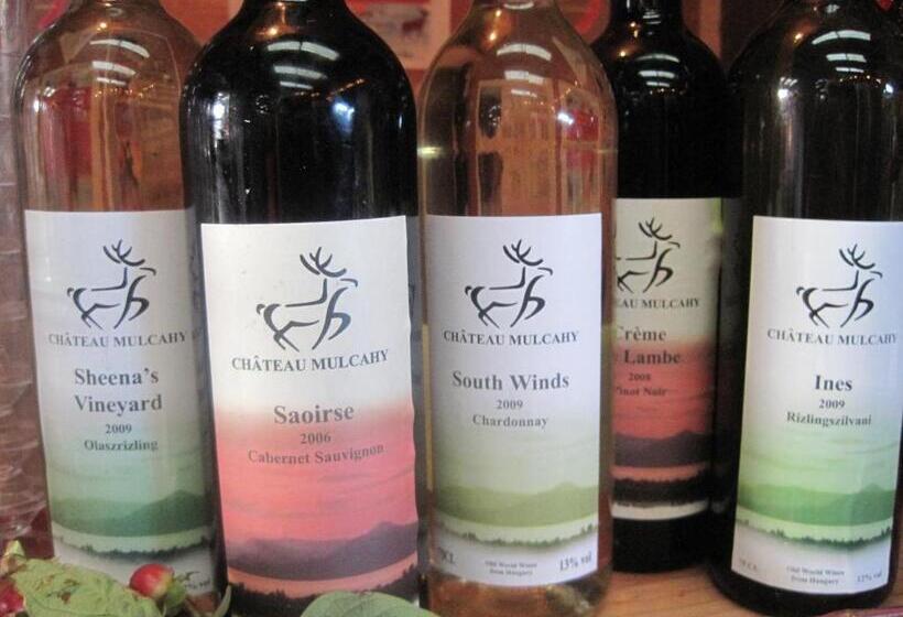 مبيت وإفطار Ballinwillin House