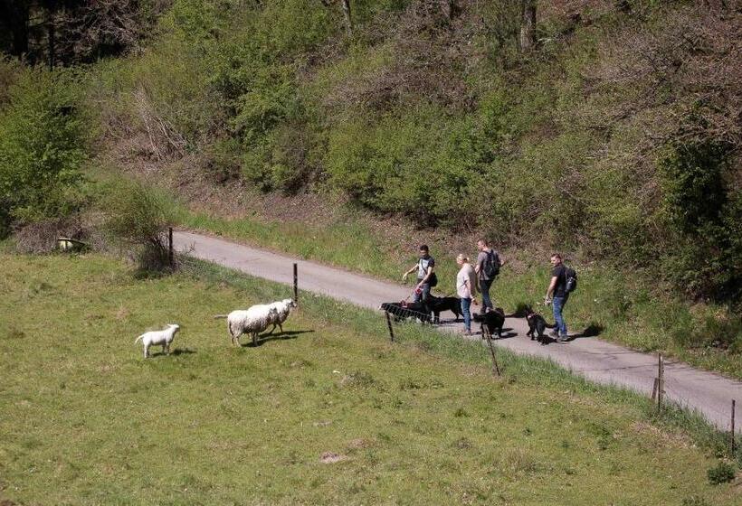 ベッドアンドブレックファースト Ferme Des Templiers