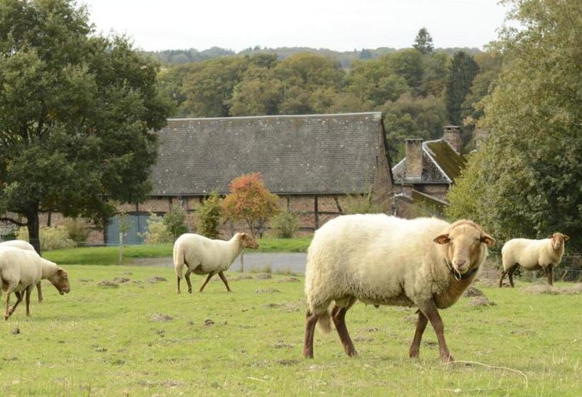 ベッドアンドブレックファースト Ferme Des Templiers
