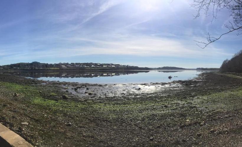 مبيت وإفطار The Cove Lodge