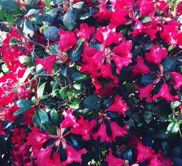 مبيت وإفطار The Cove Lodge