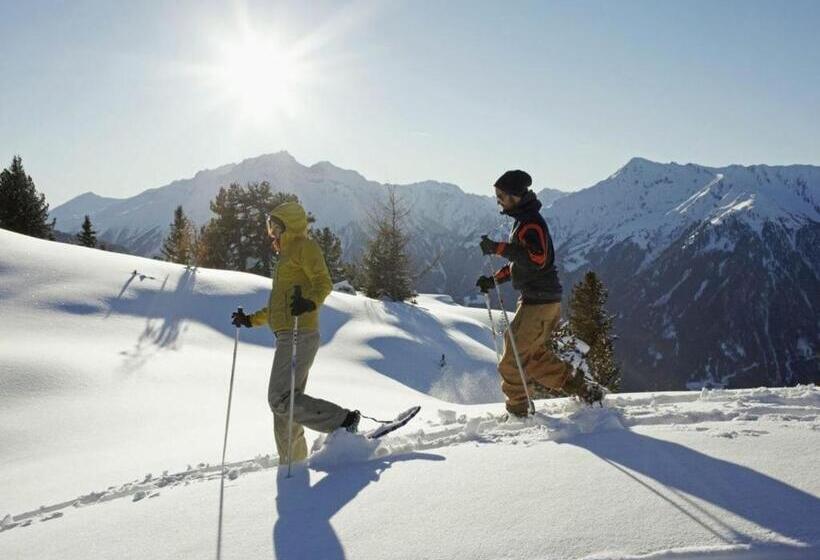 בית מלון כפרי Arnika