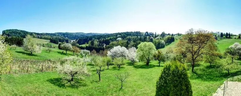 Golf & Thermenland Sonnenpension Frühstückshotel Burgauberg Stegersbach