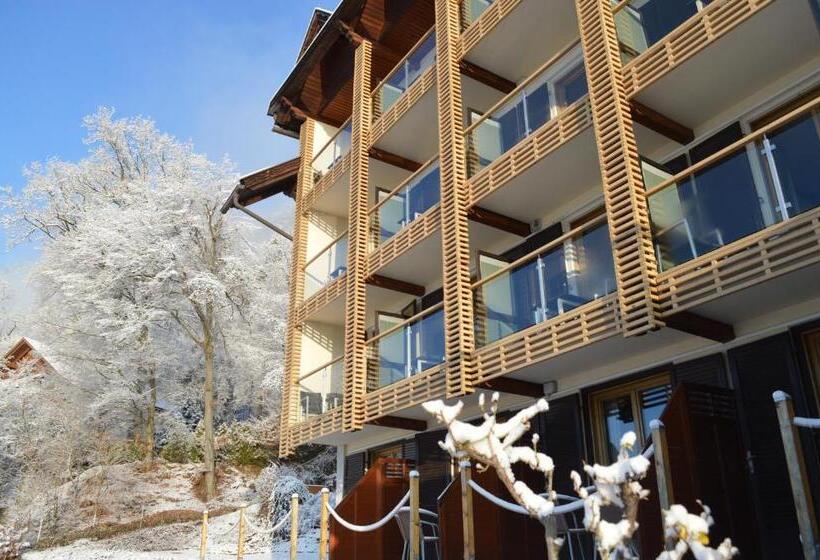 בית מלון כפרי Jäger