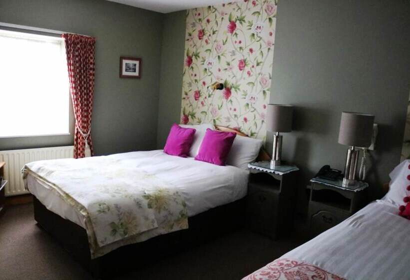 New Park Hotel Athenry