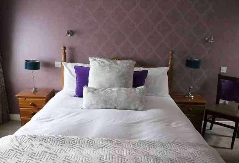 New Park Hotel Athenry