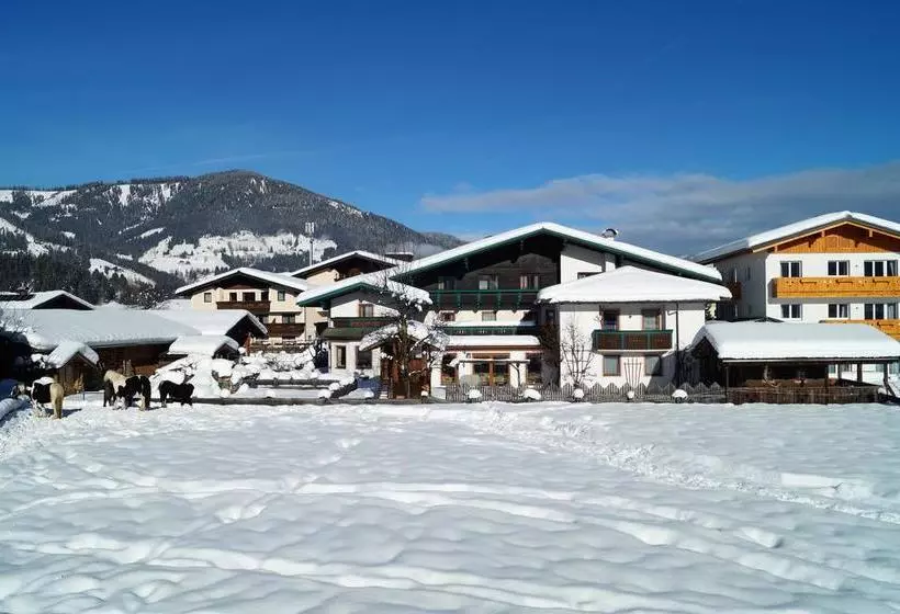 ホテル Sieglhub Chalets   Appartements