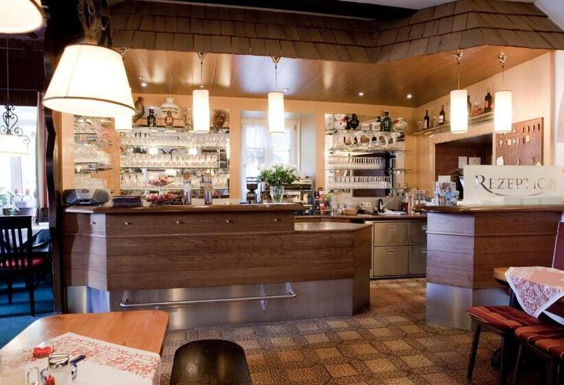 酒店 Ungarische Krone