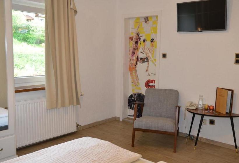 Отель Grüner Heinrich Bett&frühstück