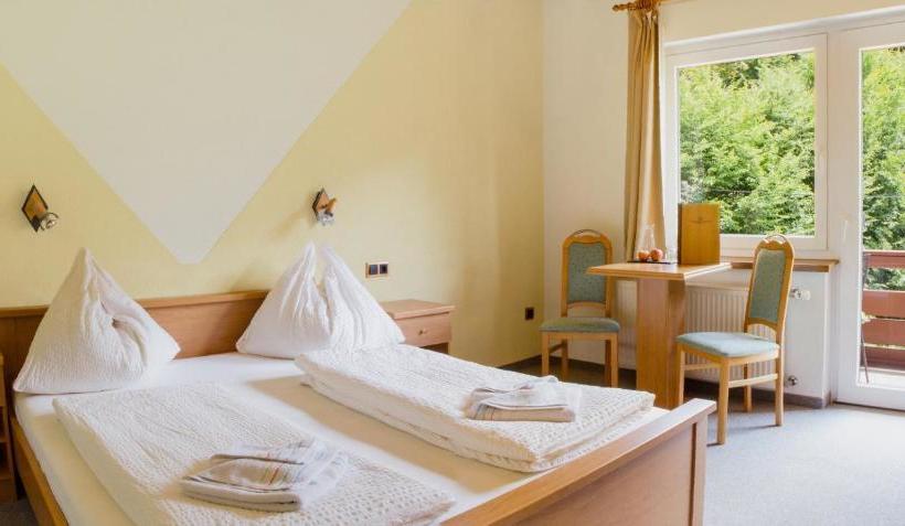 Отель Grüner Heinrich Bett&frühstück