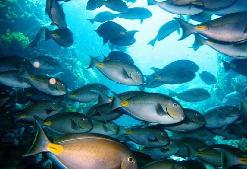 Casa Strela B&b Tarrafal