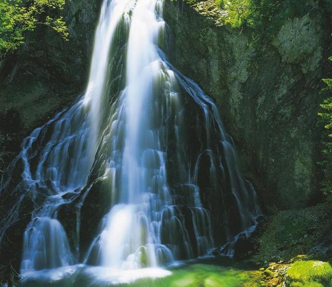 Gasthof Hotel Hauslwirt